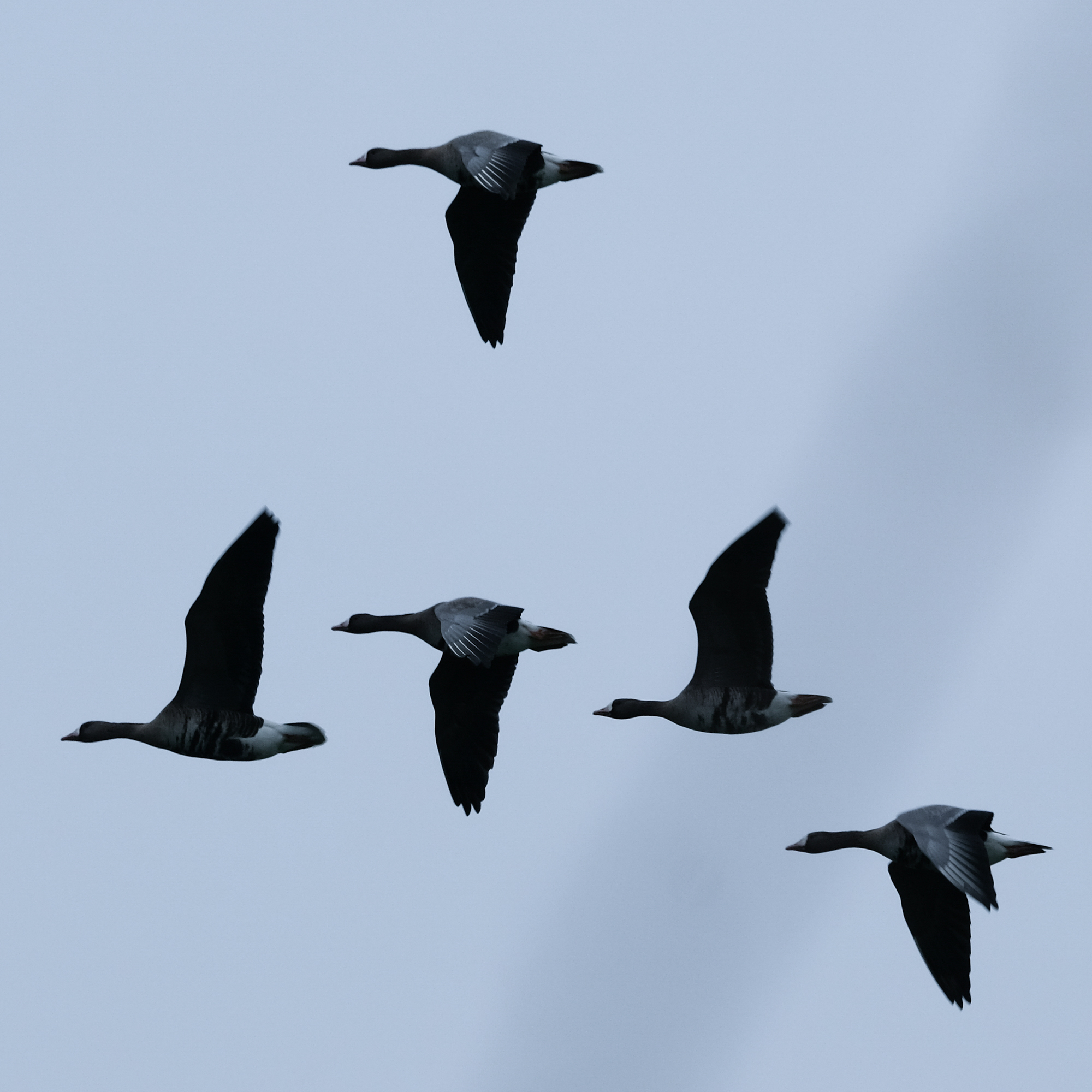 de kloof tussen mij en mijn familie