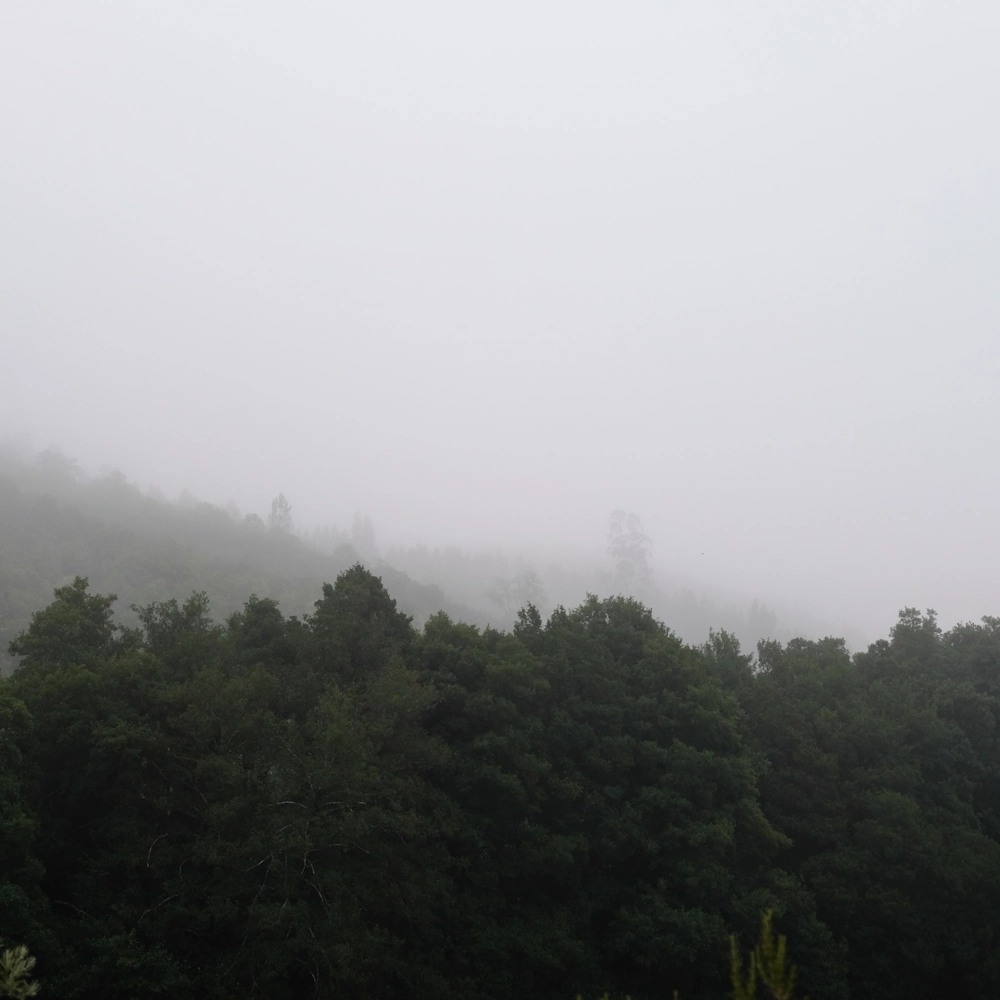 sessie ‘expanding consciousness’