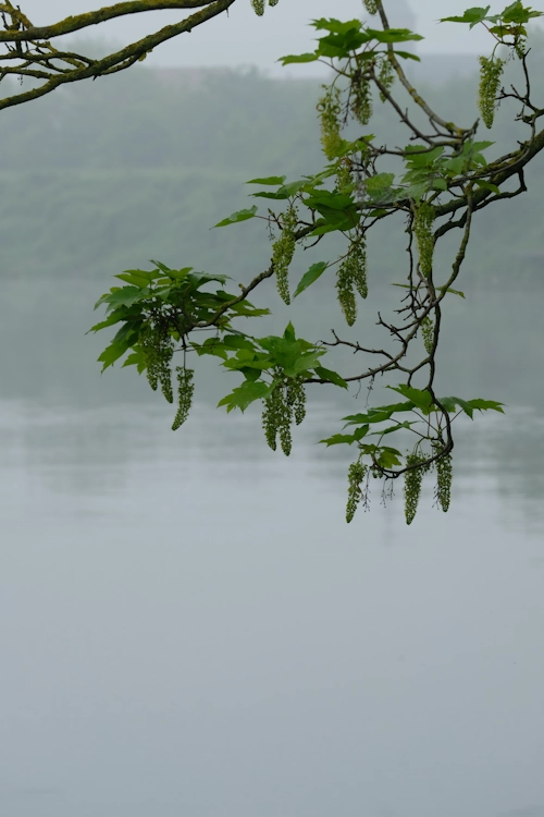 het belang van integreren