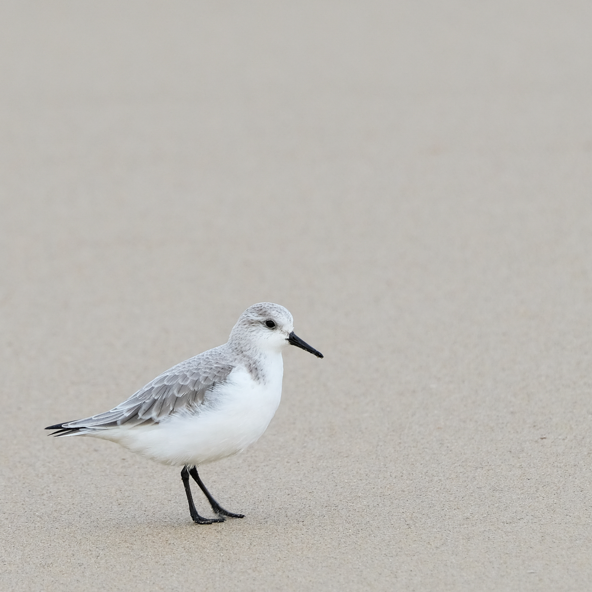 ‘mama, ik wil met jou naar het strand’