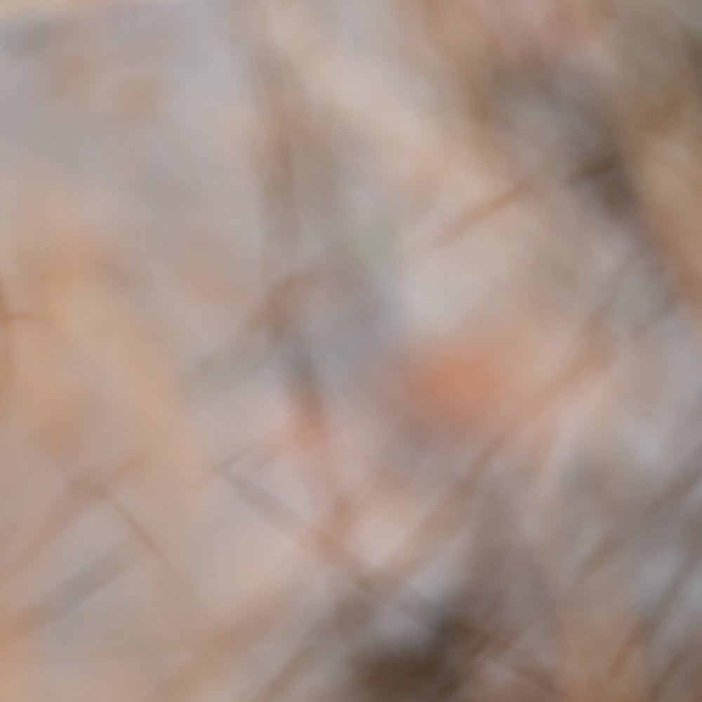 ik voel mijn heelheid