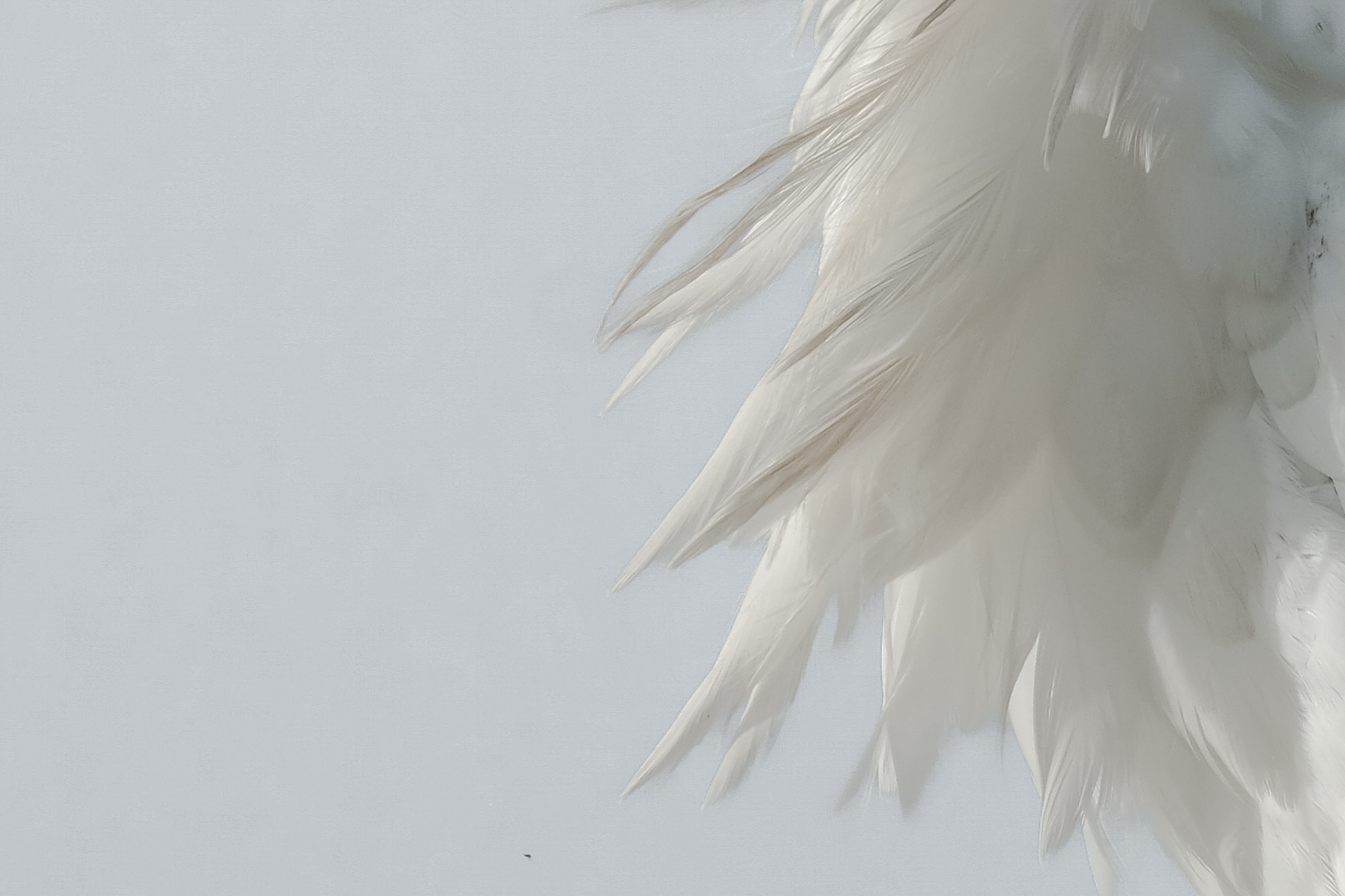 we zijn nooit alleen in een vortex