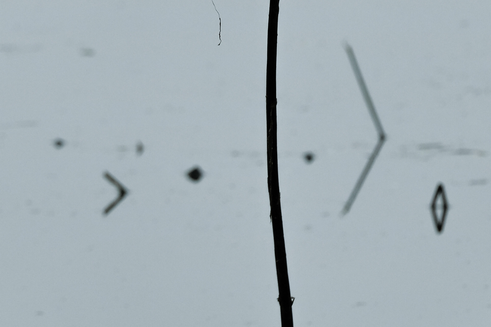 ik fotografeerde lichtcodes