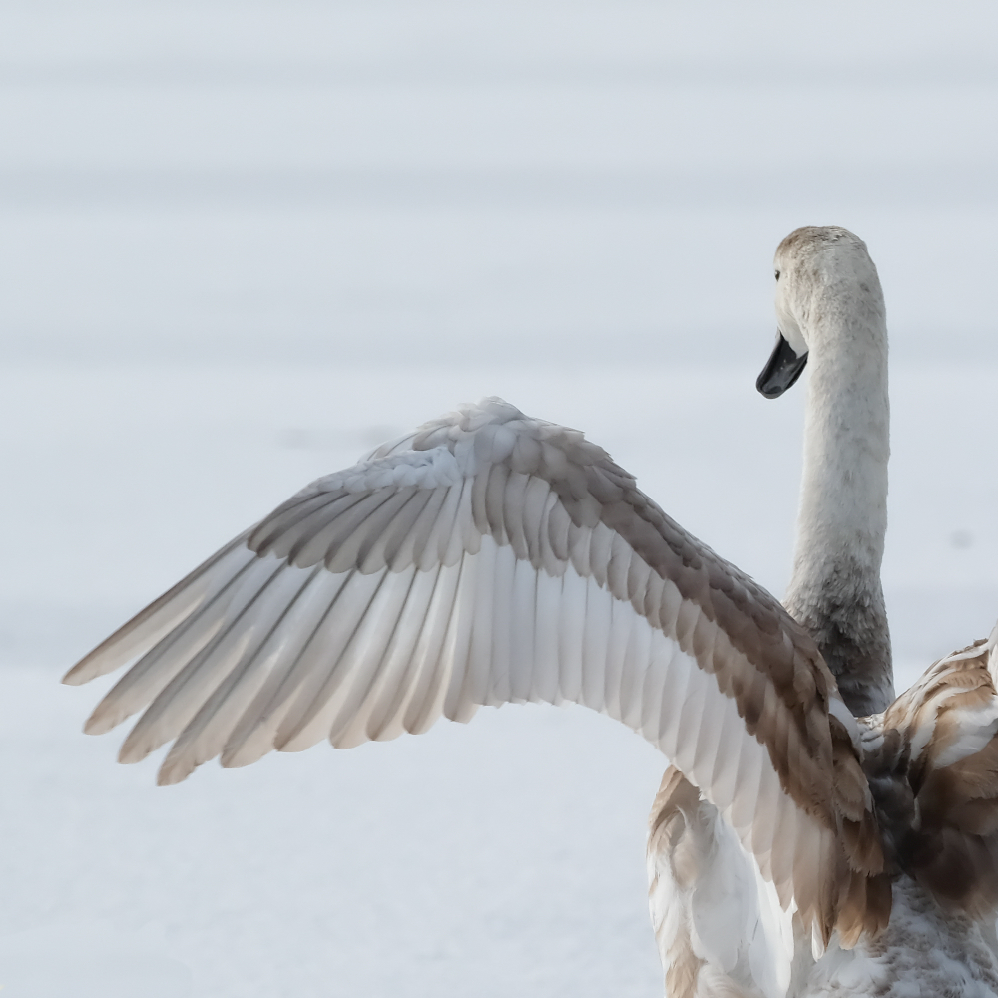 sessie ‘ik laat jou jezelf ontdekken’