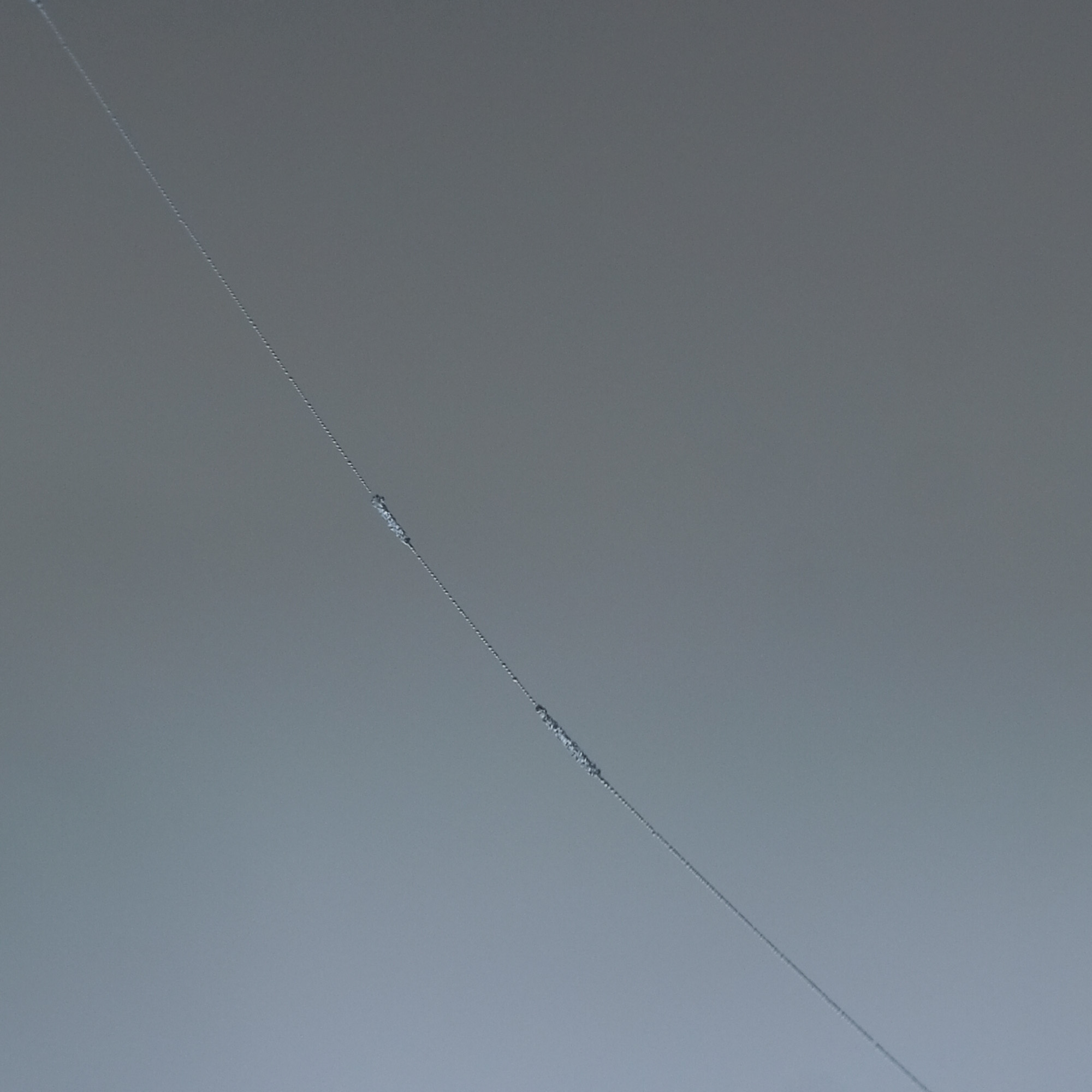 een nieuw pad gaat zich ontvouwen