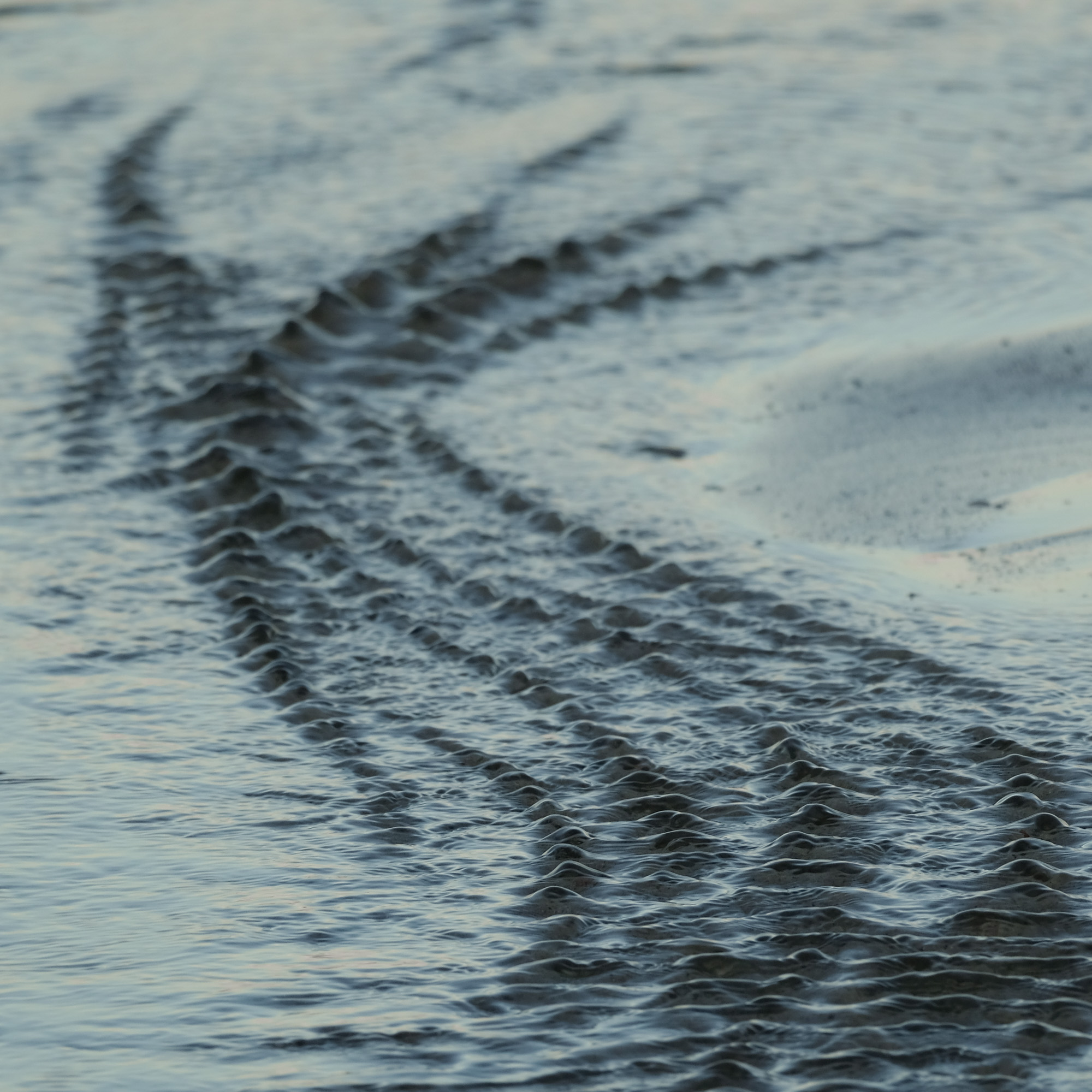 een nieuw pad gaat zich ontvouwen