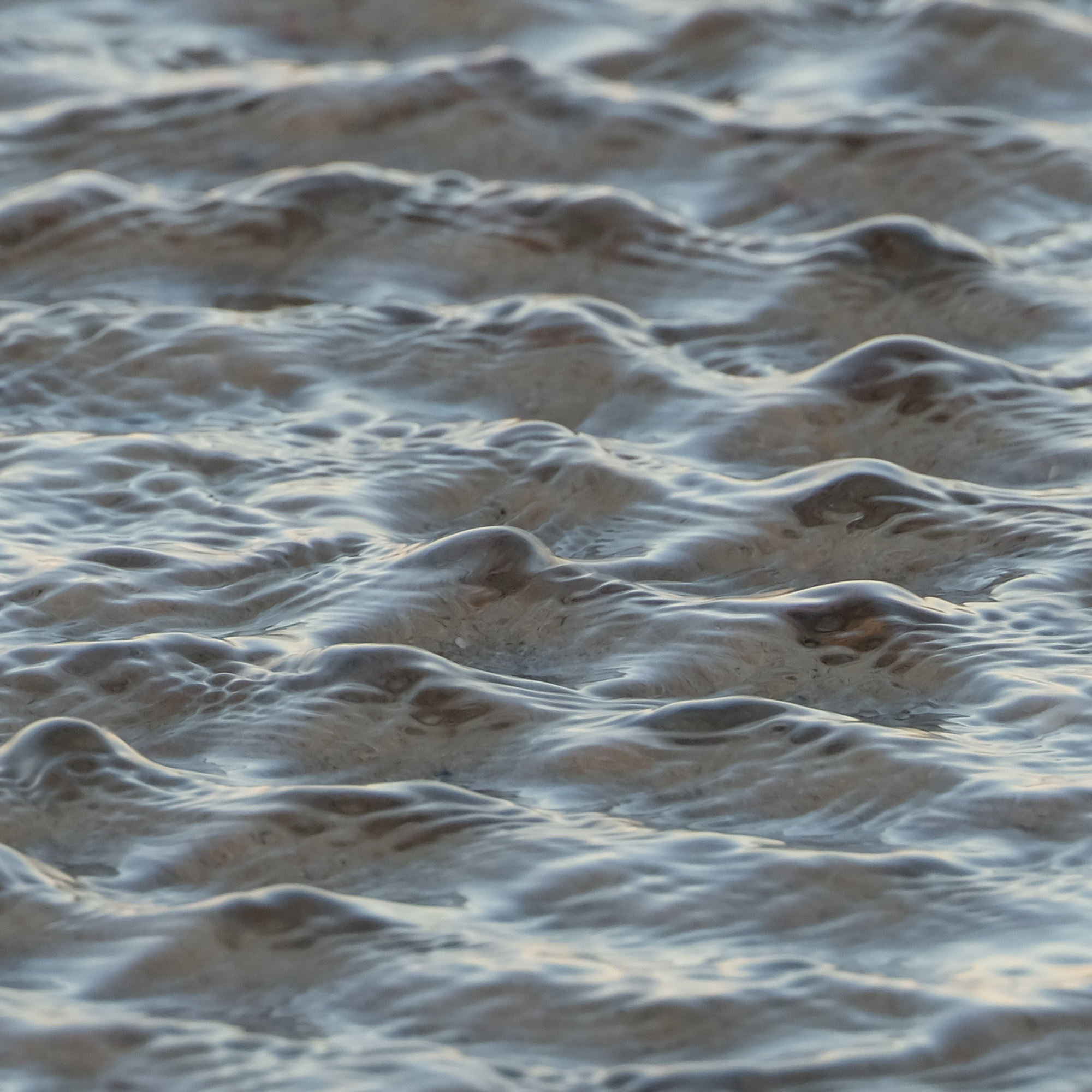 er ontvouwde zich een bloem