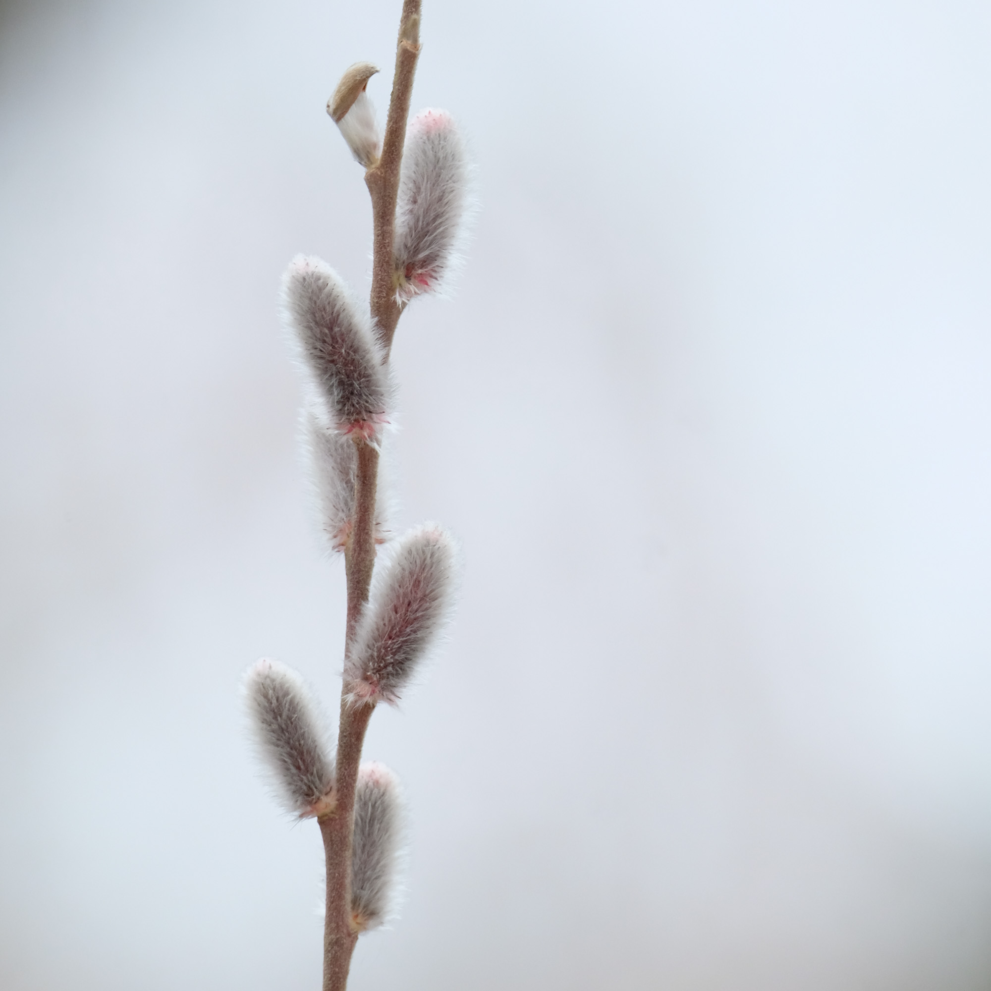 ‘sessie’ Tijd voor verdieping
