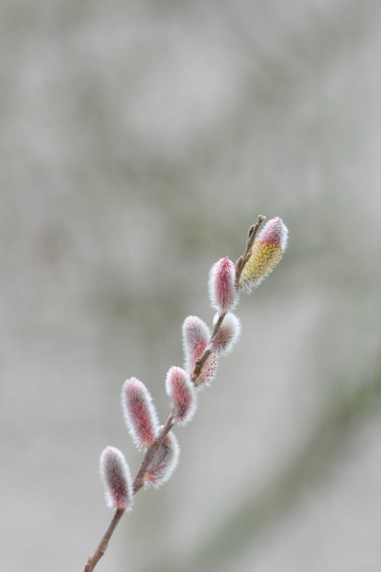 ‘sessie’ Tijd voor verdieping