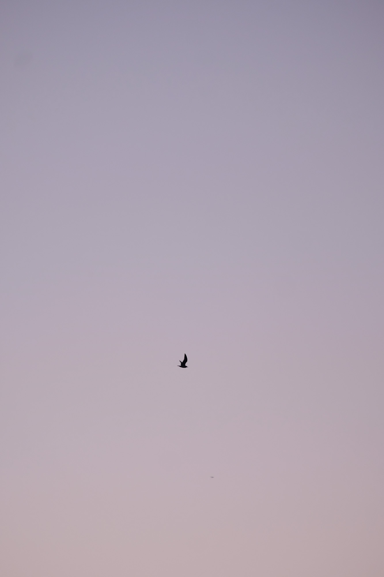 verhuur